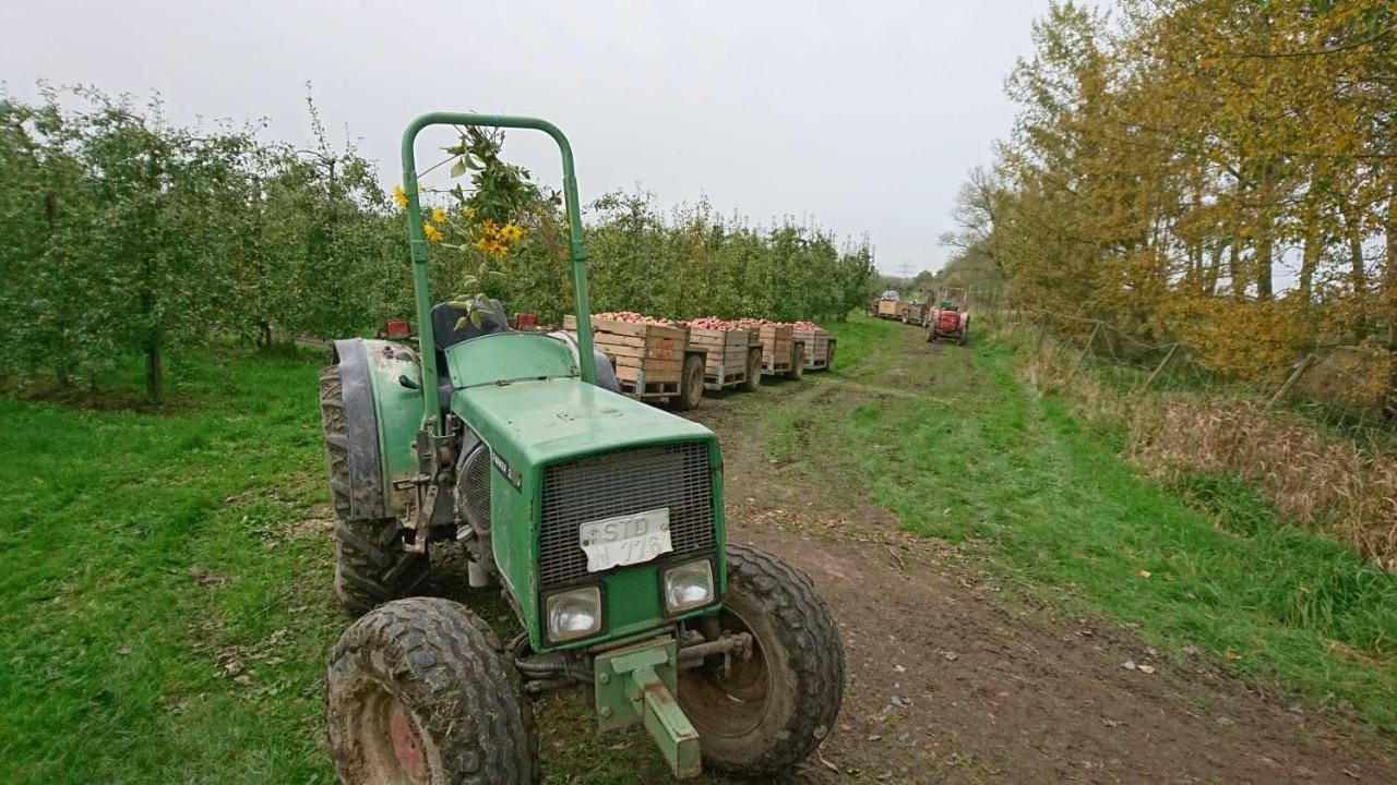 Ferienwohnung Auf Dem Bio Obsthof Twielenfleth Esterno foto